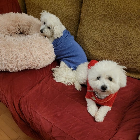 annieandgigi
